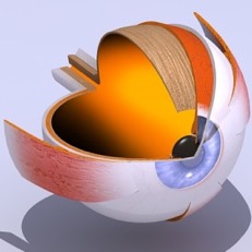 3d eye scan.jpg