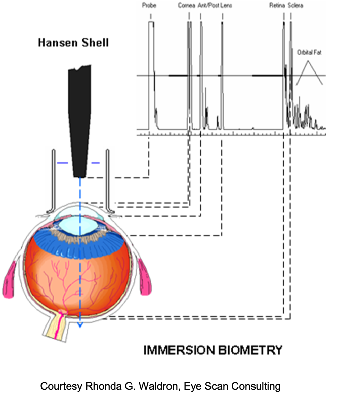 immersion biometry.png