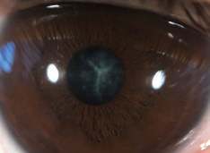 20190116041320.png