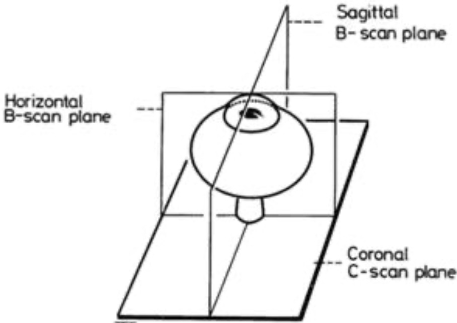 c-scan1.jpg